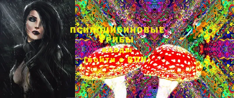 Псилоцибиновые грибы Cubensis  закладка  omg онион  Ермолино 